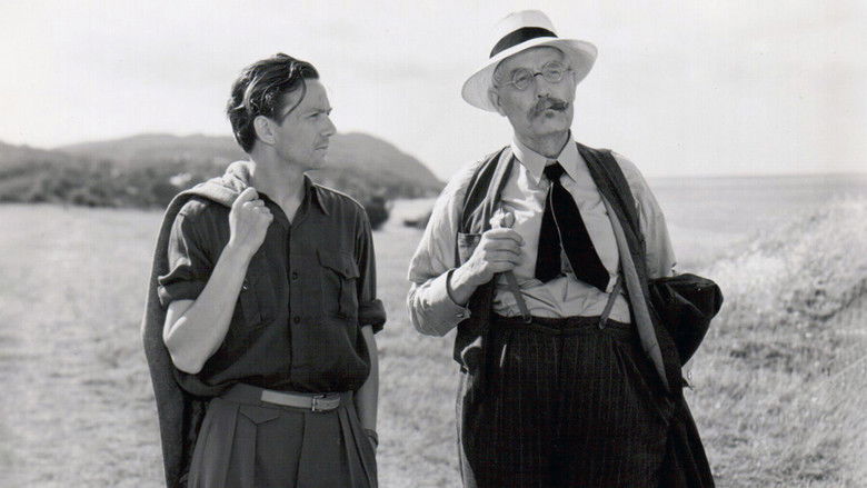 кадр из фильма К радости