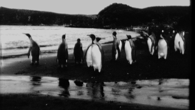 кадр из фильма Конец лета