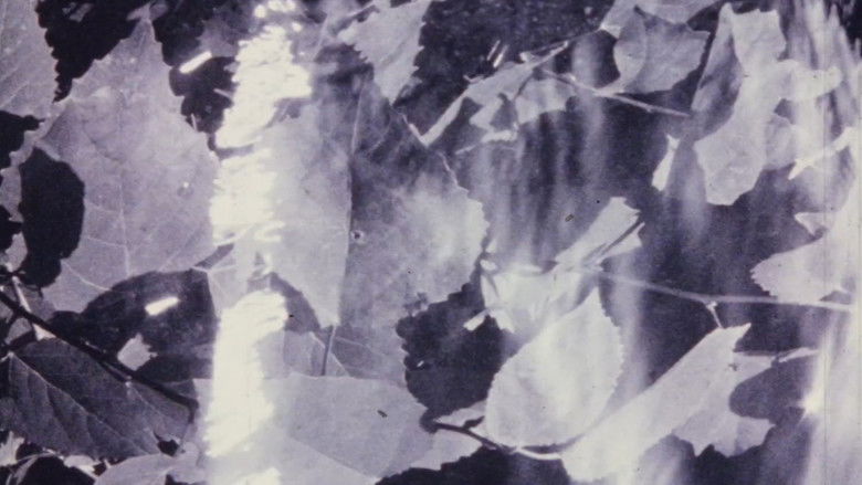 кадр из фильма Isolation