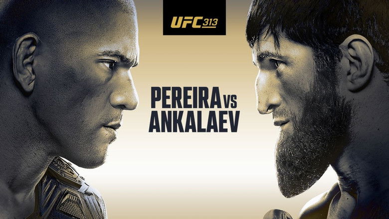кадр из фильма UFC 313: Перейра vs. Анкалаев