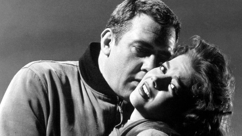 кадр из фильма Крик в ночи