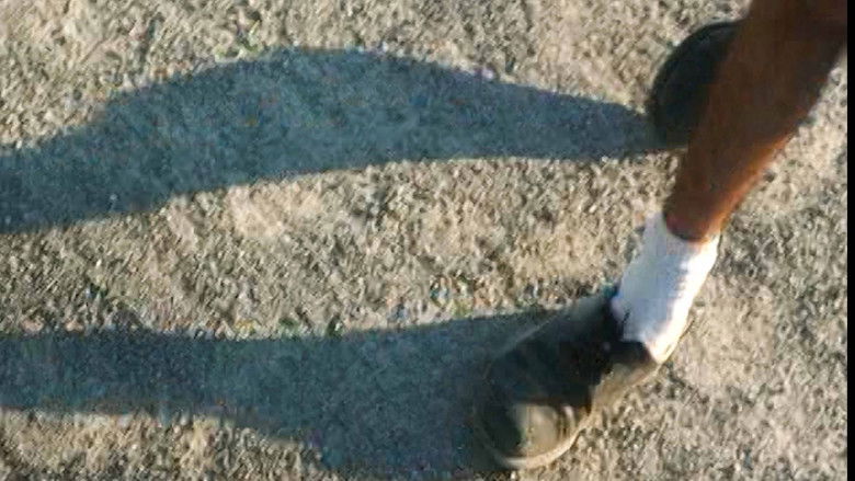 кадр из фильма Sol Garden