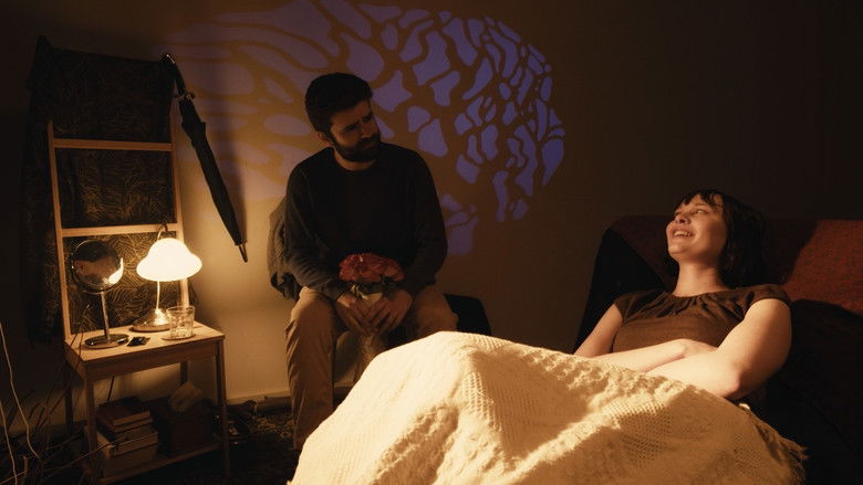 кадр из фильма Lantana