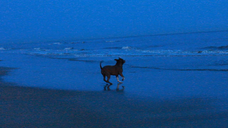 кадр из фильма Nariño y la Rambla