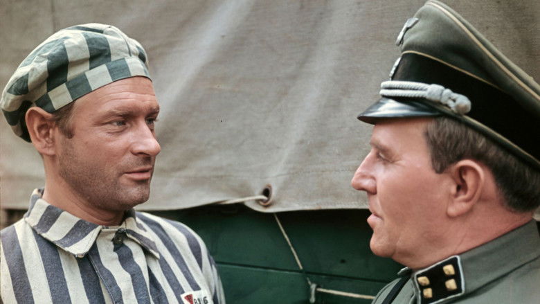 кадр из фильма Последний свидетель