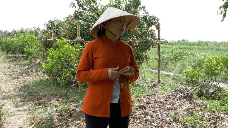 кадр из фильма A Hundred Years of Happiness