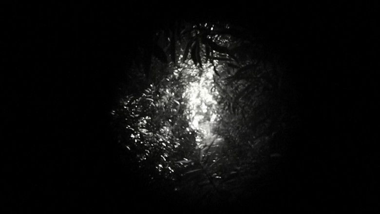 кадр из фильма Trapallada (Saudade)