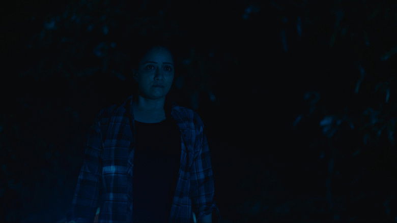 кадр из фильма Bawla