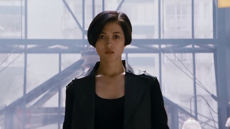 кадр из фильма Чёрная кошка 2