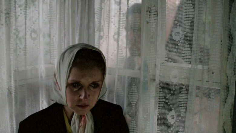 кадр из фильма Зеркало для героя