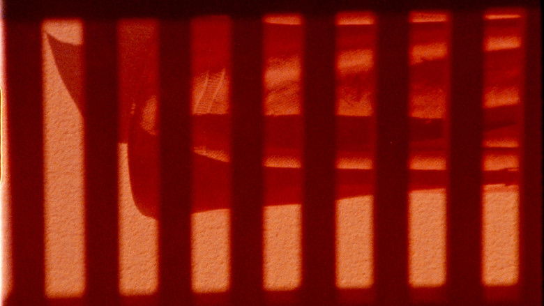 кадр из фильма Una película en color