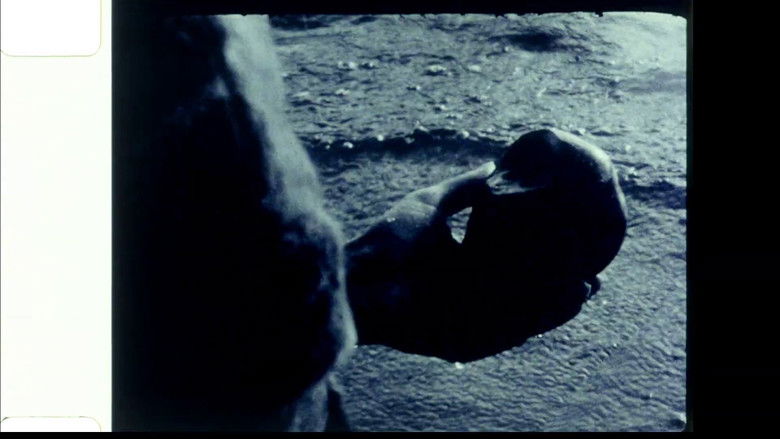 кадр из фильма Echoed Silence