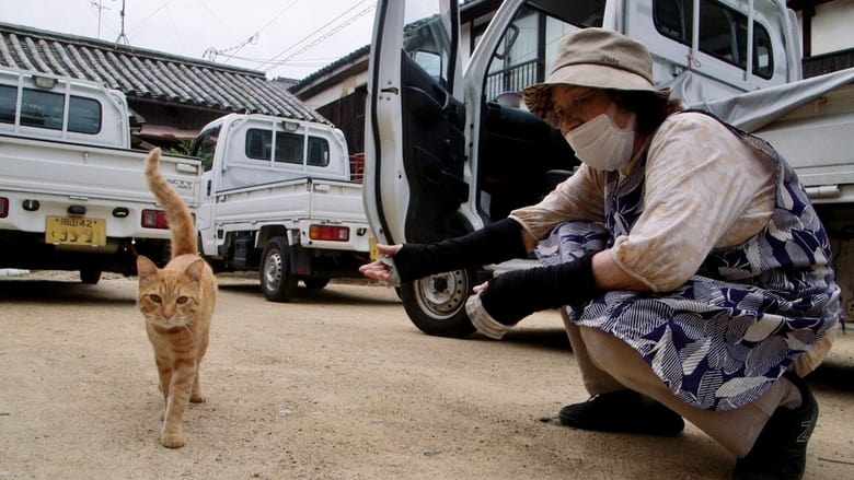 кадр из фильма 五香宮の猫