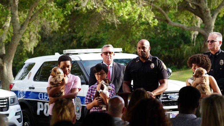 кадр из фильма Юные сыщики. Дело об исчезнувших щенках