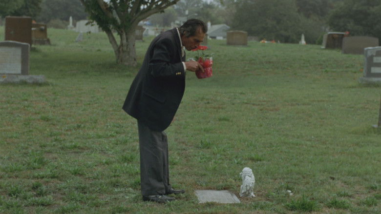 кадр из фильма I Am A Town