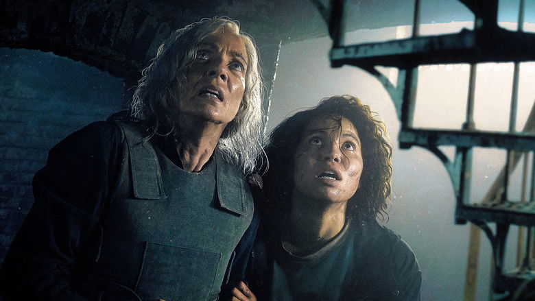 кадр из фильма Лу