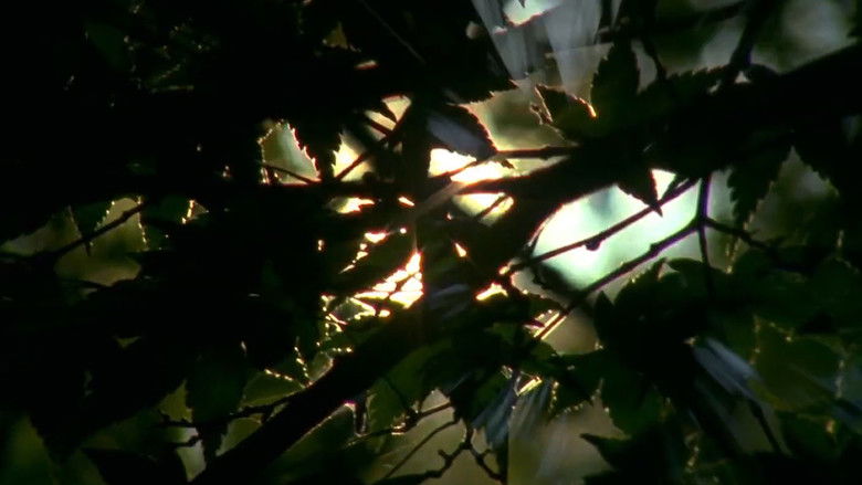 кадр из фильма Spectral Ascension