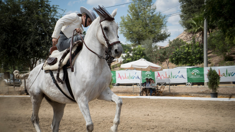 кадр из фильма Гойя: Образы из плоти и крови