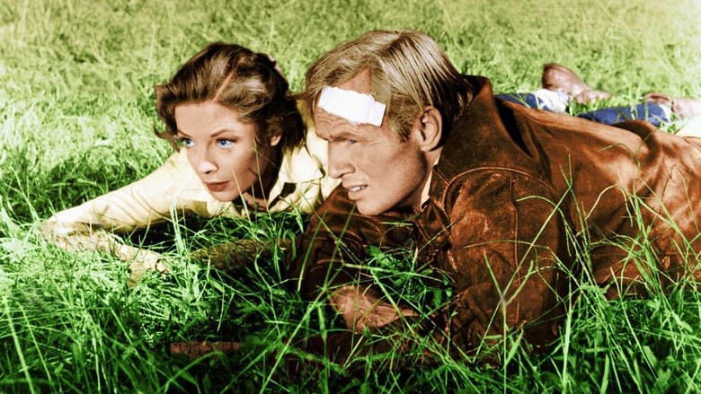 кадр из фильма К солнцу