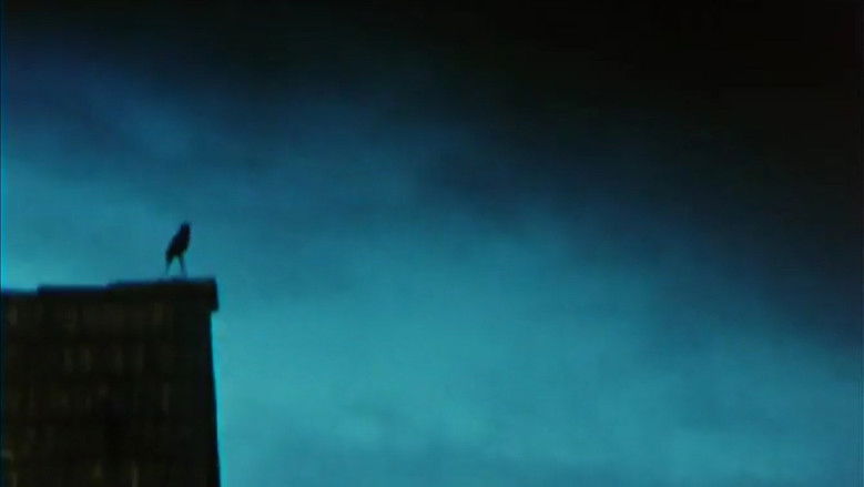 кадр из фильма Listening to the Space in My Room