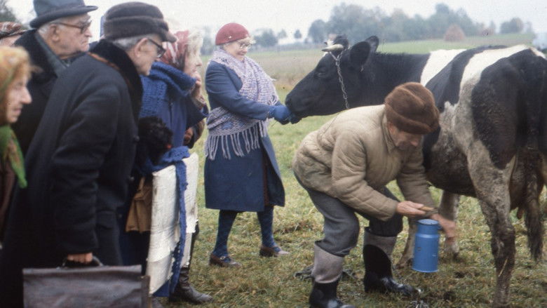 кадр из фильма Prognoza pogody