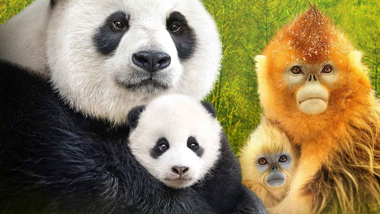 кадр из фильма Expedition China