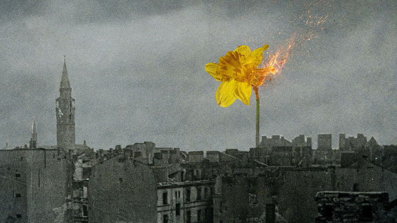 кадр из фильма 33 zdjęcia z getta