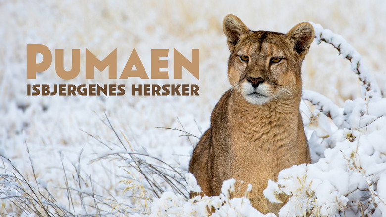 кадр из фильма Pumas: Legends of the Ice Mountains