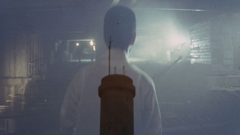 кадр из фильма 野良犬