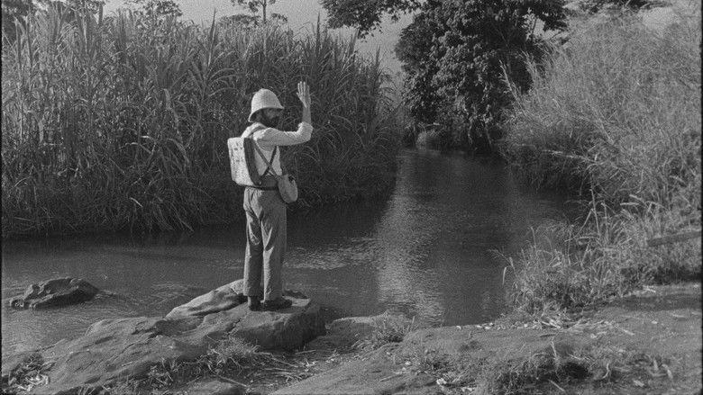 кадр из фильма Табу