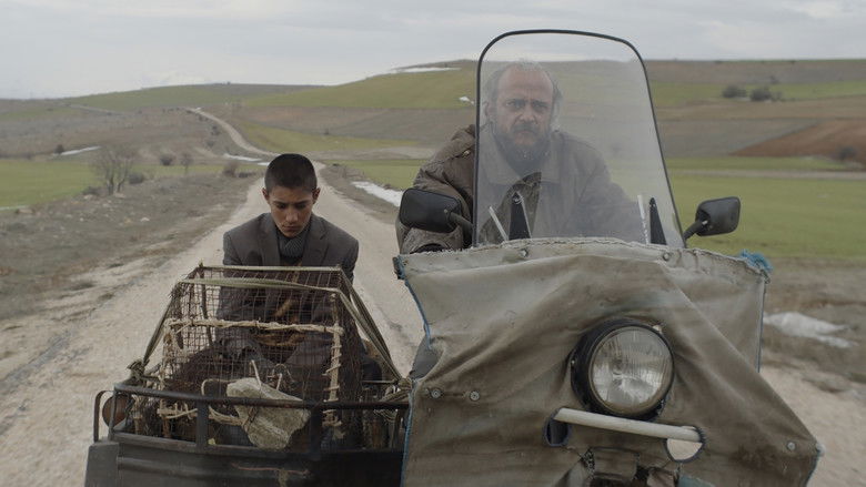 кадр из фильма Tavşan İmparatorluğu