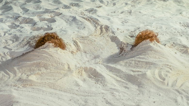 кадр из фильма Барб и Звезда едут в Виста дель Мар