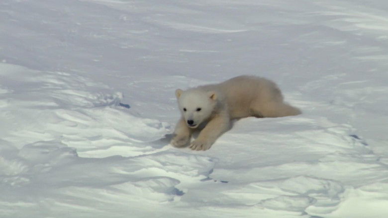 кадр из фильма Super Cute Animals