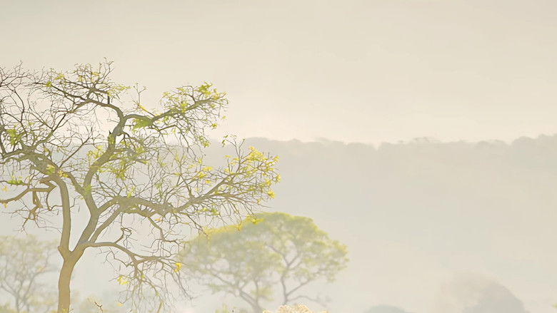 кадр из фильма Oeste Outra Vez