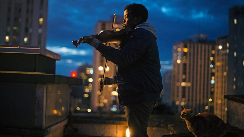 кадр из фильма Мелодия