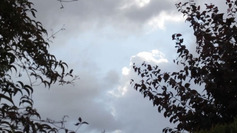 кадр из фильма today, it’s raining