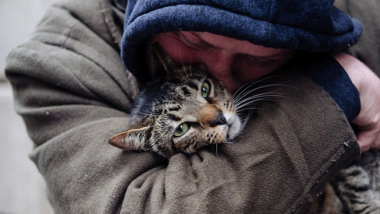 кадр из фильма Котики