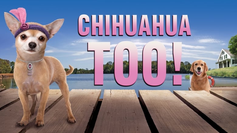 кадр из фильма Chihuahua Too!