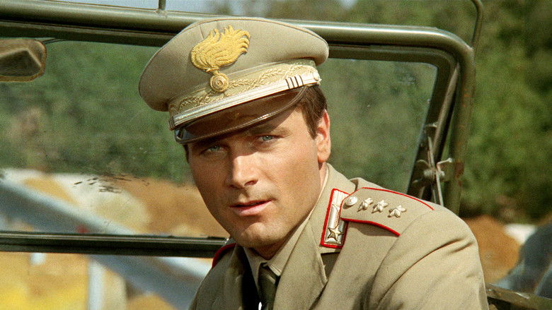 кадр из фильма Сова появляется днём