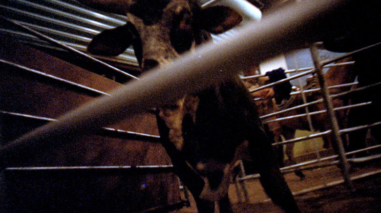 кадр из фильма Rodeo