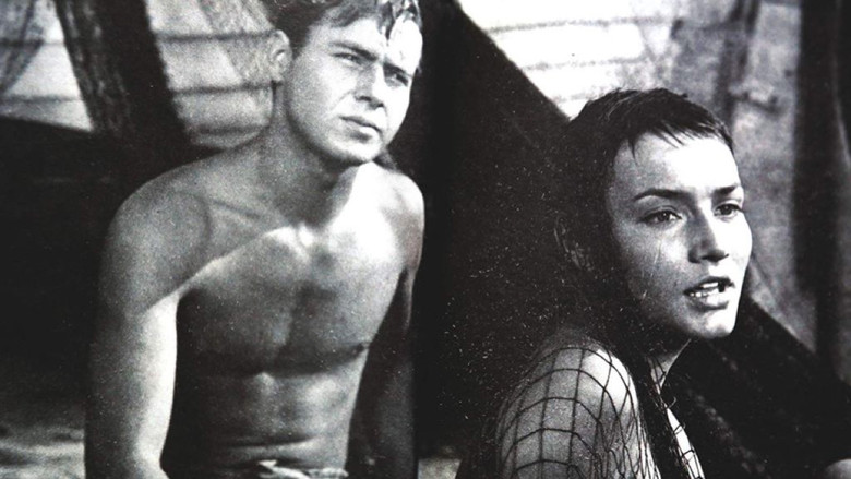 кадр из фильма Солнце и тень