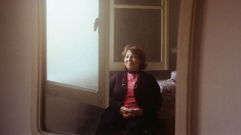 кадр из фильма Noha & Noha, a love letter in two parts