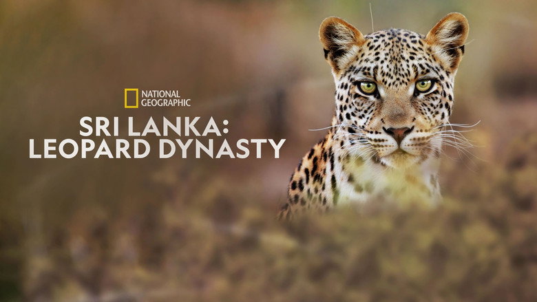 кадр из фильма Sri Lanka: Leopard Dynasty