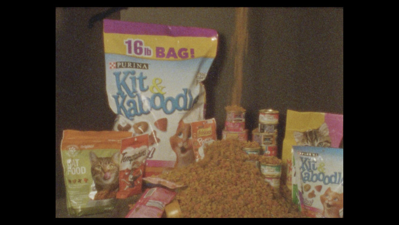 кадр из фильма Considering Cats