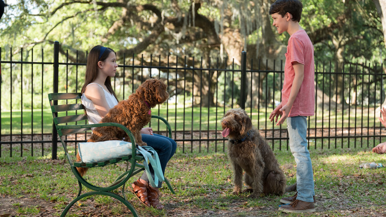 кадр из фильма Думай как собака