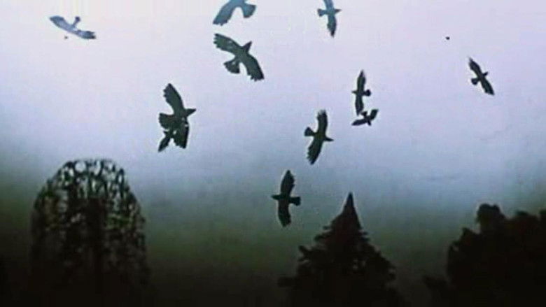 кадр из фильма Времена года