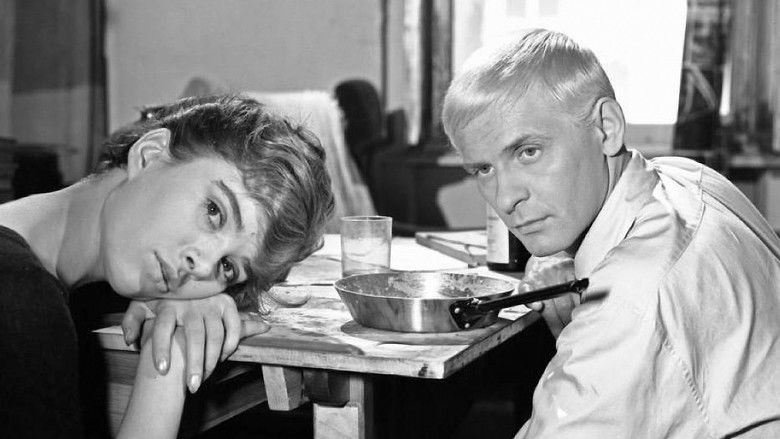 кадр из фильма Niewinni czarodzieje