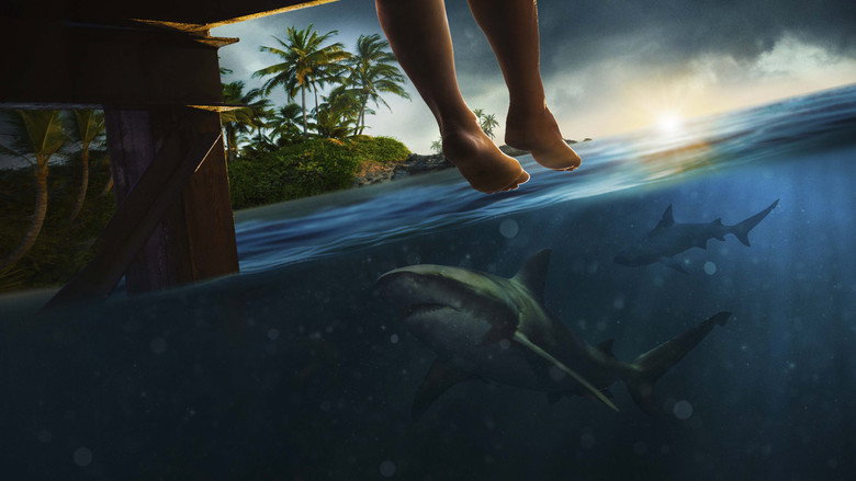 кадр из фильма Great White Open Ocean