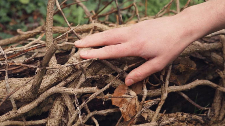 кадр из фильма Wood Screw