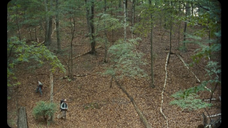 кадр из фильма Vulcanizadora